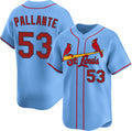 St. Louis Cardinals #53 Andre Pallante Blue HeidiMiller Alternate Limited Stitched Jersey